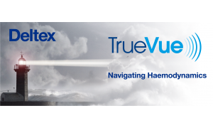 banner with strap line2